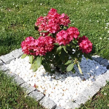 Appartamento Diamond House Deluxe 5 *