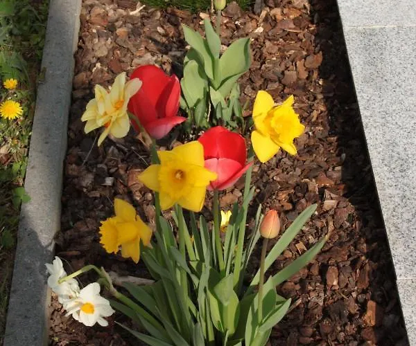 Diamond House Deluxe 5