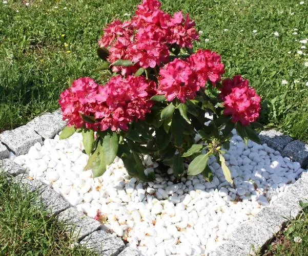 公寓 Diamond House Deluxe 5 *